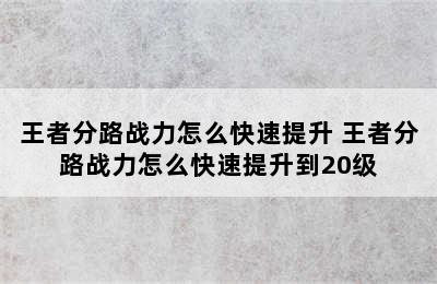 王者分路战力怎么快速提升 王者分路战力怎么快速提升到20级